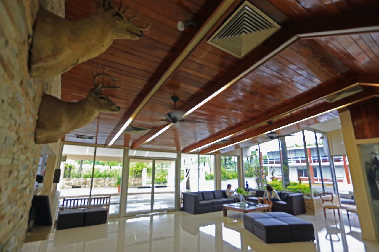 Tuxpan  Hotel Plaza Palmas מראה חיצוני תמונה