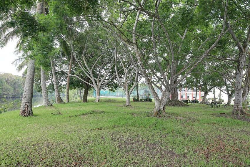 Tuxpan  Hotel Plaza Palmas מראה חיצוני תמונה